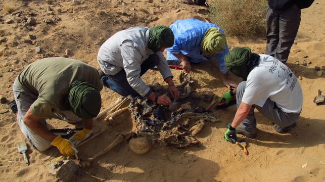 Identificación de 8 saharauis desaparecidos por la represión marroquí. Sociedad de Ciencias Aranzadi