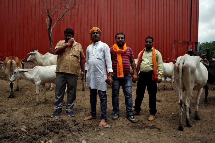 Resultado de imagen de cow protectors india