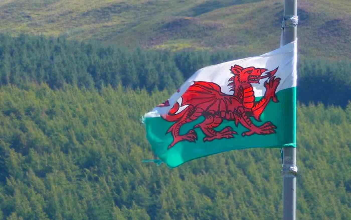 C:UsersAlejandroAppDataLocalMicrosoftWindowsINetCacheContent.WordWelsh-Flag-of-Wales-CC-Chris-Downer-via-Geograph-dot-org-dot-uk.jpg