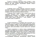 Acuerdo EEUU-Rusia (3)