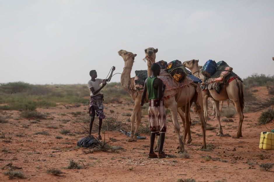 La sequía se agudiza en Somalia